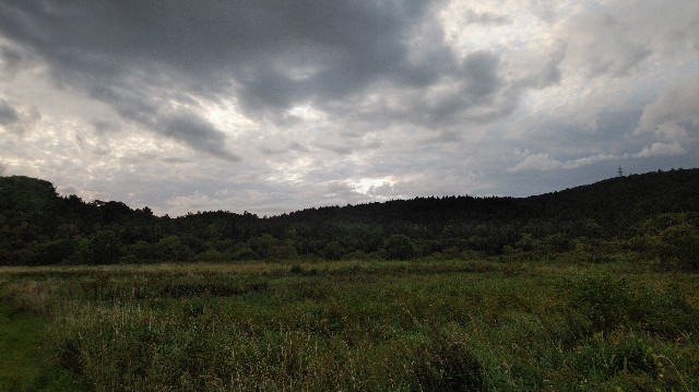 f:id:wanpaku-yaseiji:20190918233256j:image