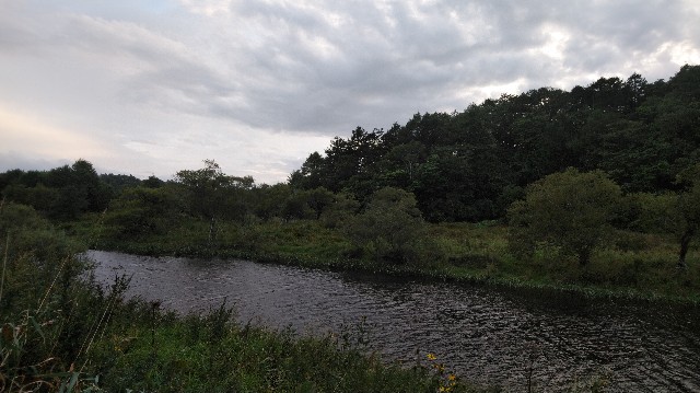 f:id:wanpaku-yaseiji:20190918233323j:image