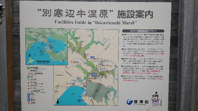 f:id:wanpaku-yaseiji:20190918234645j:image