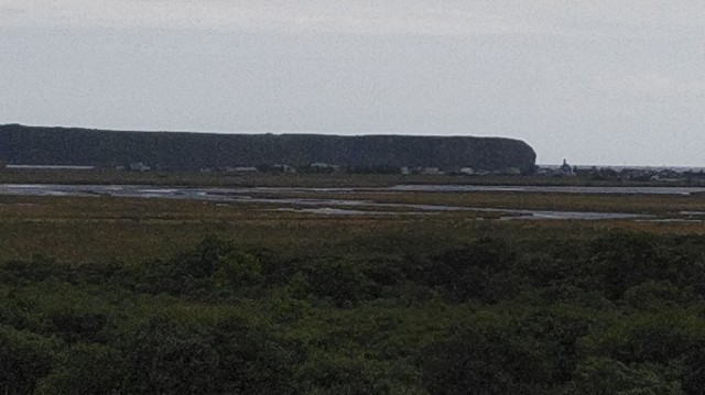 f:id:wanpaku-yaseiji:20190919000311j:image