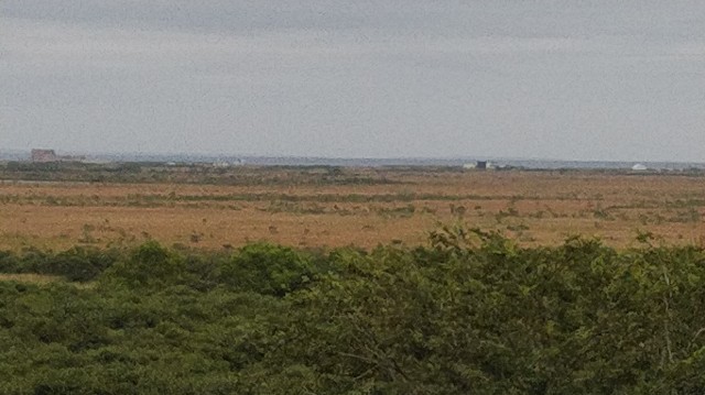 f:id:wanpaku-yaseiji:20190919000333j:image