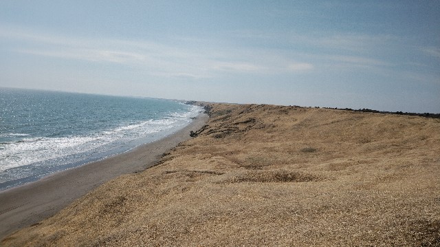 f:id:wanpaku-yaseiji:20190919002708j:image