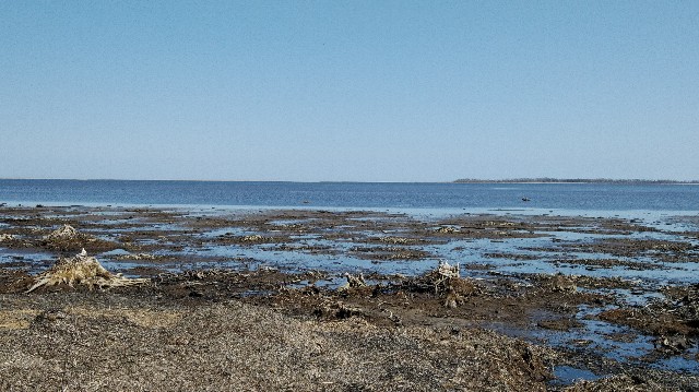 f:id:wanpaku-yaseiji:20190920010103j:image