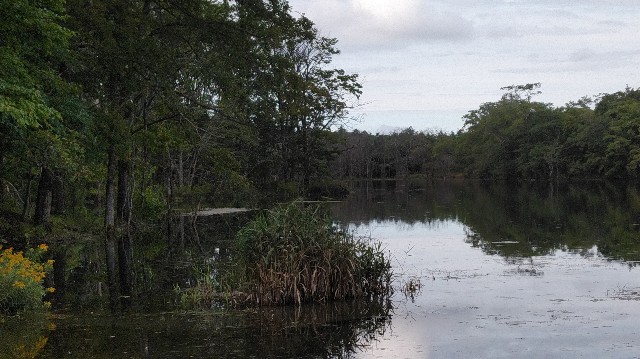 f:id:wanpaku-yaseiji:20190921002028j:image f:id:wanpaku-yaseiji:20190921002028j:image