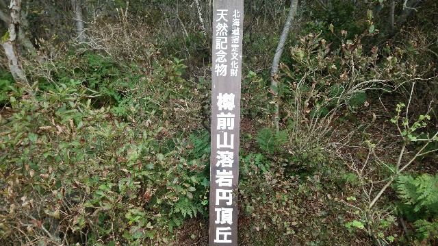 f:id:wanpaku-yaseiji:20190921004752j:image f:id:wanpaku-yaseiji:20190921004752j:image