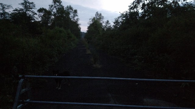 f:id:wanpaku-yaseiji:20190921233613j:image f:id:wanpaku-yaseiji:20190921233613j:image