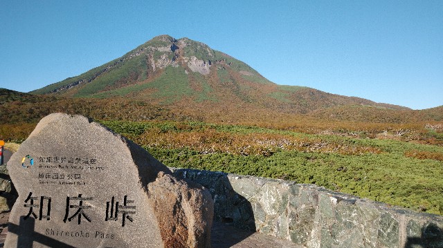 f:id:wanpaku-yaseiji:20190929232923j:image f:id:wanpaku-yaseiji:20190929232923j:image