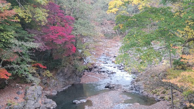 f:id:wanpaku-yaseiji:20191004123932j:image f:id:wanpaku-yaseiji:20191004123932j:image