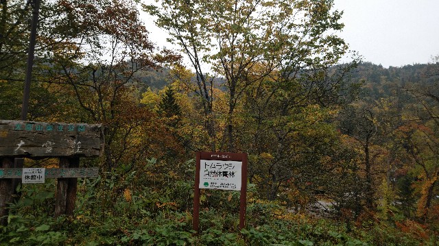 f:id:wanpaku-yaseiji:20191005133421j:image f:id:wanpaku-yaseiji:20191005133421j:image