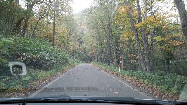 f:id:wanpaku-yaseiji:20191005135516j:image f:id:wanpaku-yaseiji:20191005135516j:image