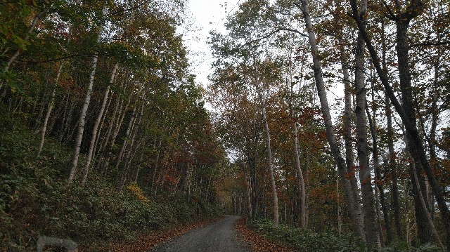 f:id:wanpaku-yaseiji:20191005143518j:image f:id:wanpaku-yaseiji:20191005143518j:image