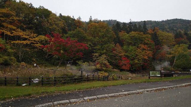 f:id:wanpaku-yaseiji:20191005143619j:image f:id:wanpaku-yaseiji:20191005143619j:image