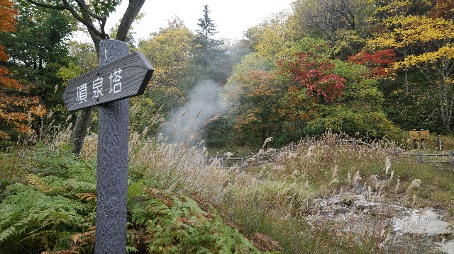 f:id:wanpaku-yaseiji:20191005143847j:image f:id:wanpaku-yaseiji:20191005143847j:image