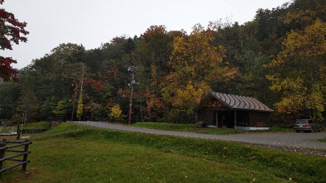 f:id:wanpaku-yaseiji:20191005143920j:image f:id:wanpaku-yaseiji:20191005143920j:image