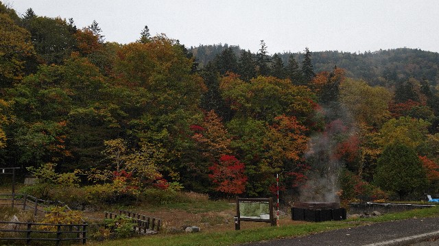 f:id:wanpaku-yaseiji:20191005143947j:image f:id:wanpaku-yaseiji:20191005143947j:image