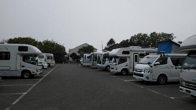 f:id:wanpaku-yaseiji:20191006000142j:image