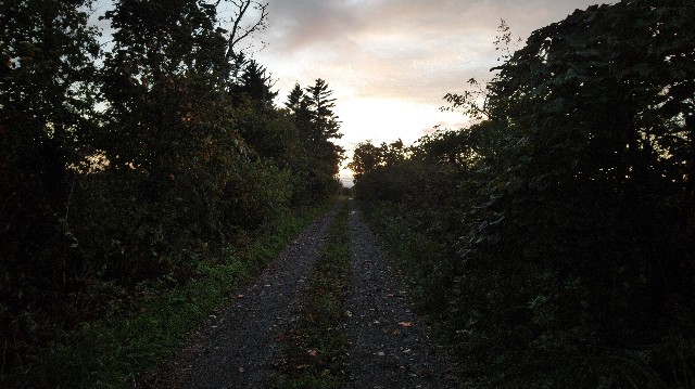 f:id:wanpaku-yaseiji:20191006011022j:image