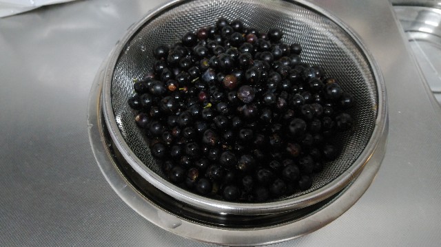 f:id:wanpaku-yaseiji:20191006012045j:image