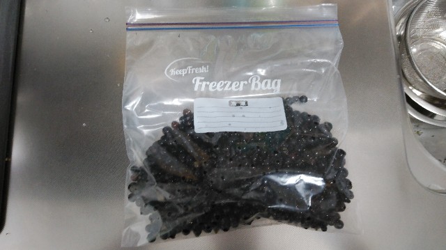 f:id:wanpaku-yaseiji:20191006012249j:image