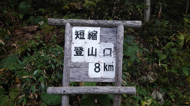 f:id:wanpaku-yaseiji:20191006180113j:image f:id:wanpaku-yaseiji:20191006180113j:image