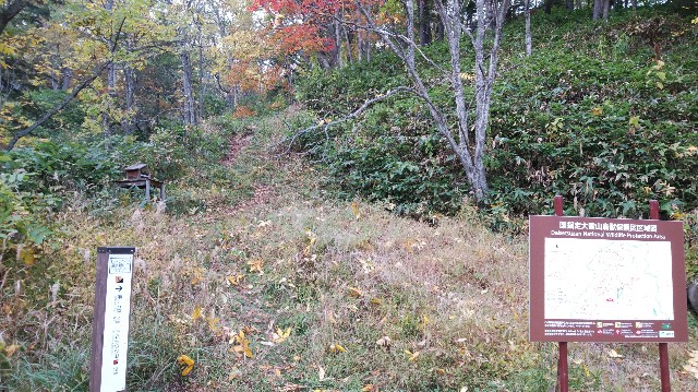 f:id:wanpaku-yaseiji:20191006180349j:image f:id:wanpaku-yaseiji:20191006180349j:image