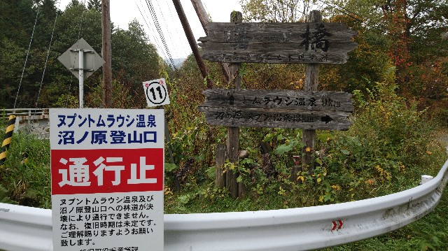 f:id:wanpaku-yaseiji:20191008025843j:image f:id:wanpaku-yaseiji:20191008025843j:image