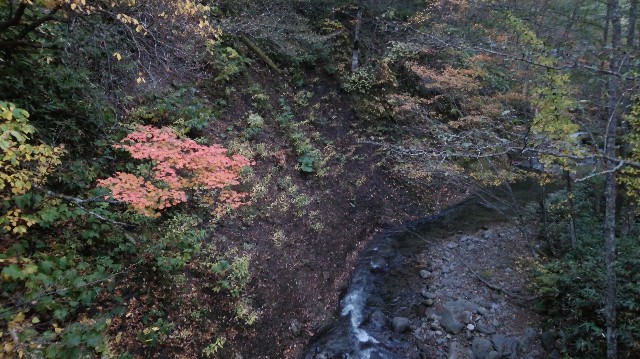 f:id:wanpaku-yaseiji:20191008030059j:image f:id:wanpaku-yaseiji:20191008030059j:image