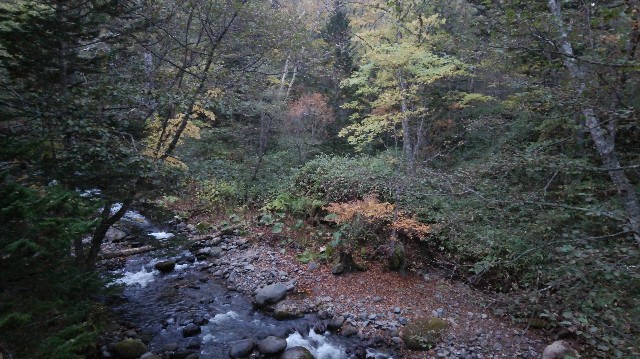 f:id:wanpaku-yaseiji:20191008030124j:image f:id:wanpaku-yaseiji:20191008030124j:image