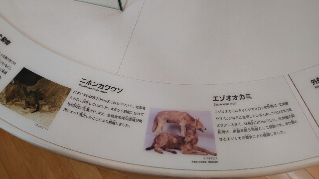 f:id:wanpaku-yaseiji:20191014232742j:image f:id:wanpaku-yaseiji:20191014232742j:image