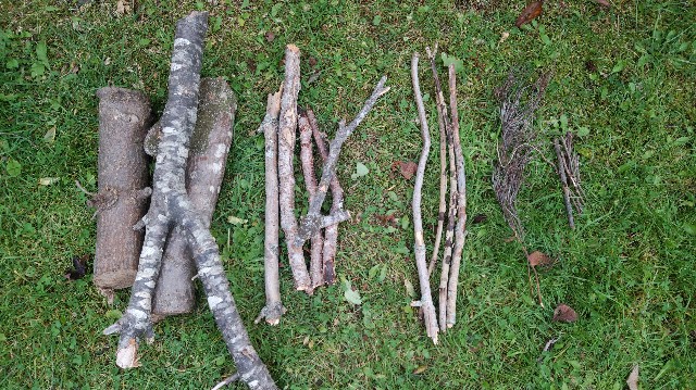 f:id:wanpaku-yaseiji:20191022174129j:image