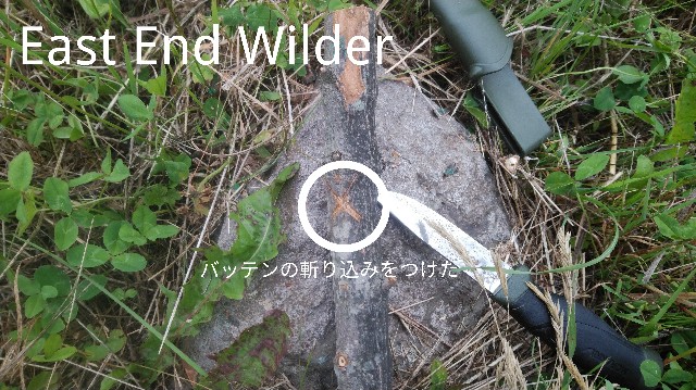 f:id:wanpaku-yaseiji:20191112005953j:image f:id:wanpaku-yaseiji:20191112005953j:image