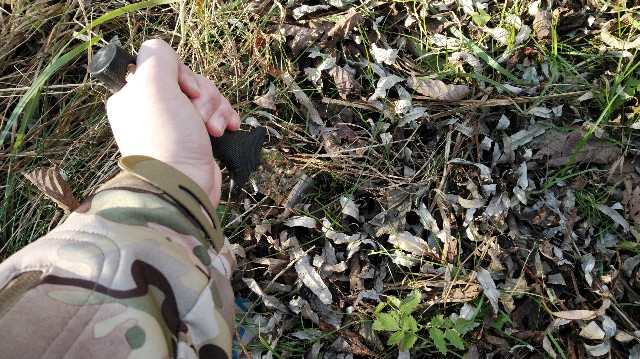 f:id:wanpaku-yaseiji:20191112124217j:image f:id:wanpaku-yaseiji:20191112124217j:image