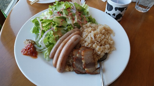 f:id:wanpaku-yaseiji:20191116222804j:image f:id:wanpaku-yaseiji:20191116222804j:image