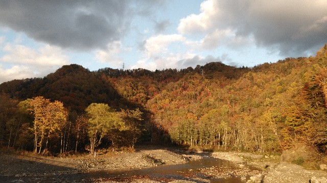 f:id:wanpaku-yaseiji:20191120231954j:image f:id:wanpaku-yaseiji:20191120231954j:image