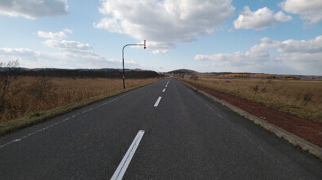 f:id:wanpaku-yaseiji:20191125123806j:image f:id:wanpaku-yaseiji:20191125123806j:image