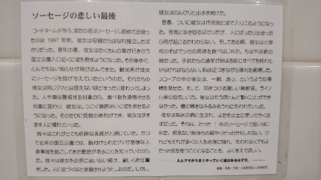 f:id:wanpaku-yaseiji:20191127005631j:image