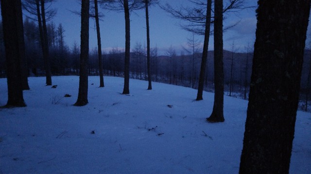 f:id:wanpaku-yaseiji:20191230021245j:image f:id:wanpaku-yaseiji:20191230021245j:image