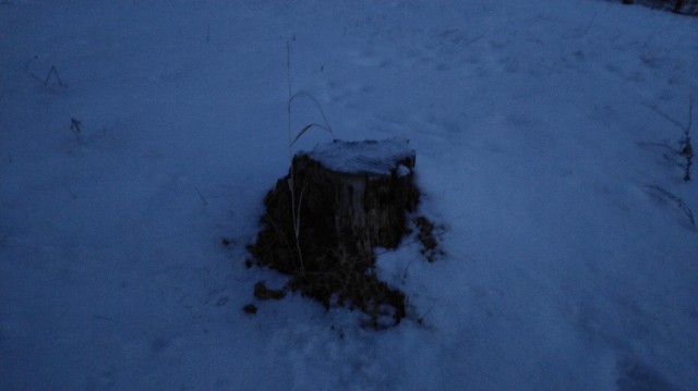 f:id:wanpaku-yaseiji:20191230023017j:image f:id:wanpaku-yaseiji:20191230023017j:image