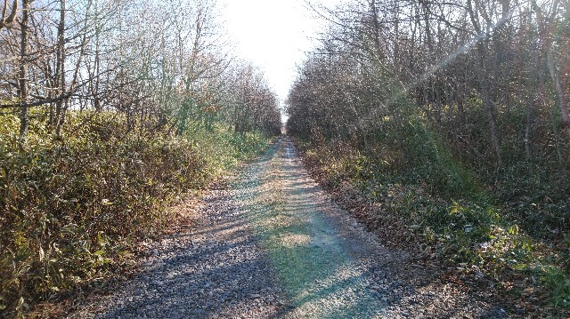 f:id:wanpaku-yaseiji:20200104013734j:image f:id:wanpaku-yaseiji:20200104013734j:image