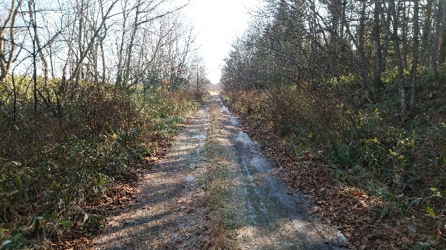 f:id:wanpaku-yaseiji:20200104014520j:image f:id:wanpaku-yaseiji:20200104014520j:image