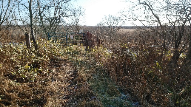 f:id:wanpaku-yaseiji:20200104015529j:image f:id:wanpaku-yaseiji:20200104015529j:image