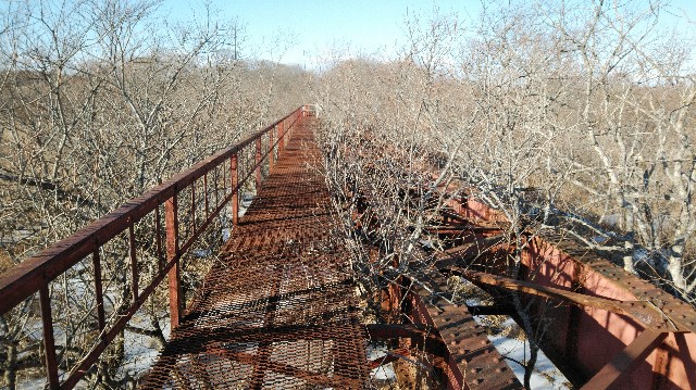 f:id:wanpaku-yaseiji:20200104020043j:image f:id:wanpaku-yaseiji:20200104020043j:image