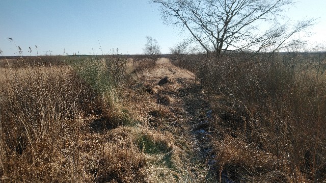 f:id:wanpaku-yaseiji:20200104023554j:image f:id:wanpaku-yaseiji:20200104023554j:image