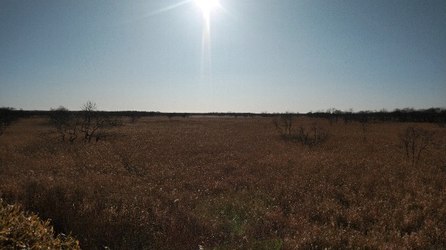 f:id:wanpaku-yaseiji:20200104225627j:image f:id:wanpaku-yaseiji:20200104225627j:image