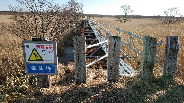 f:id:wanpaku-yaseiji:20200104234238j:image f:id:wanpaku-yaseiji:20200104234238j:image