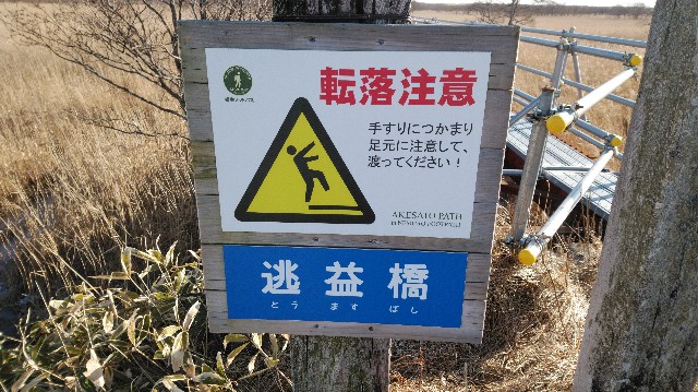 f:id:wanpaku-yaseiji:20200104234257j:image f:id:wanpaku-yaseiji:20200104234257j:image