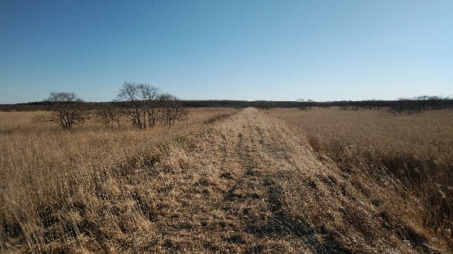 f:id:wanpaku-yaseiji:20200105001039j:image f:id:wanpaku-yaseiji:20200105001039j:image