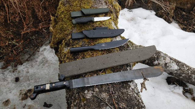 f:id:wanpaku-yaseiji:20200117121403j:image f:id:wanpaku-yaseiji:20200117121403j:image