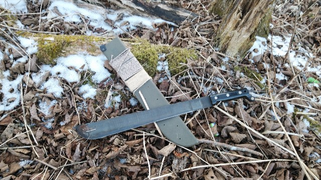 f:id:wanpaku-yaseiji:20200120123606j:image f:id:wanpaku-yaseiji:20200120123606j:image