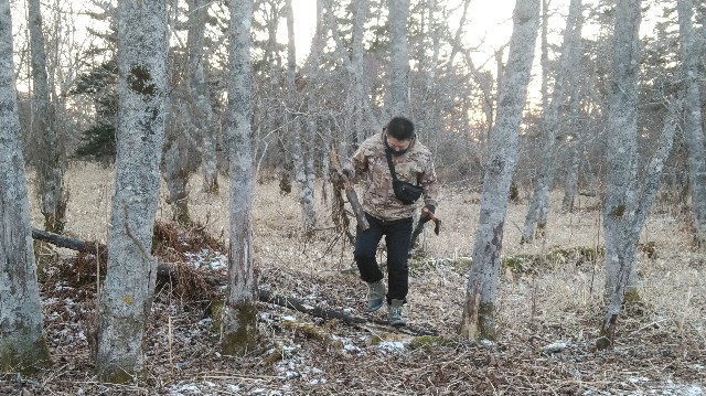 f:id:wanpaku-yaseiji:20200120123711j:image f:id:wanpaku-yaseiji:20200120123711j:image